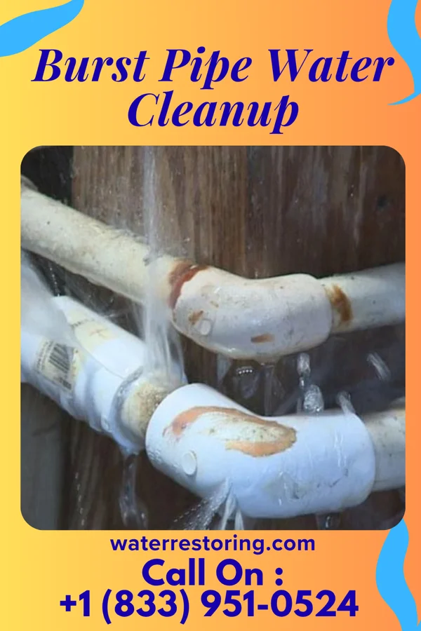 Burst Pipe Water Cleanup in Chisholm, ME