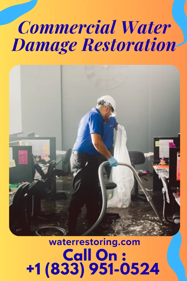 Commercial Water Damage Restoration in Chisholm, ME