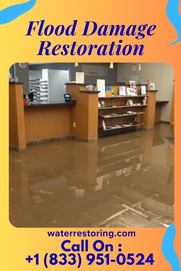 Flood Damage Restoration in Chisholm, ME