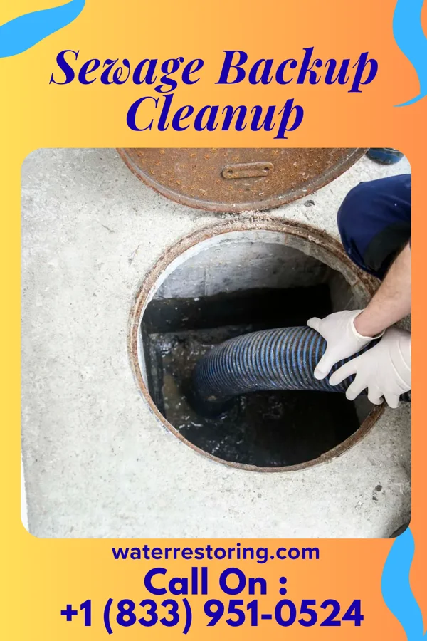Sewage Backup Cleanup in Chisholm, ME