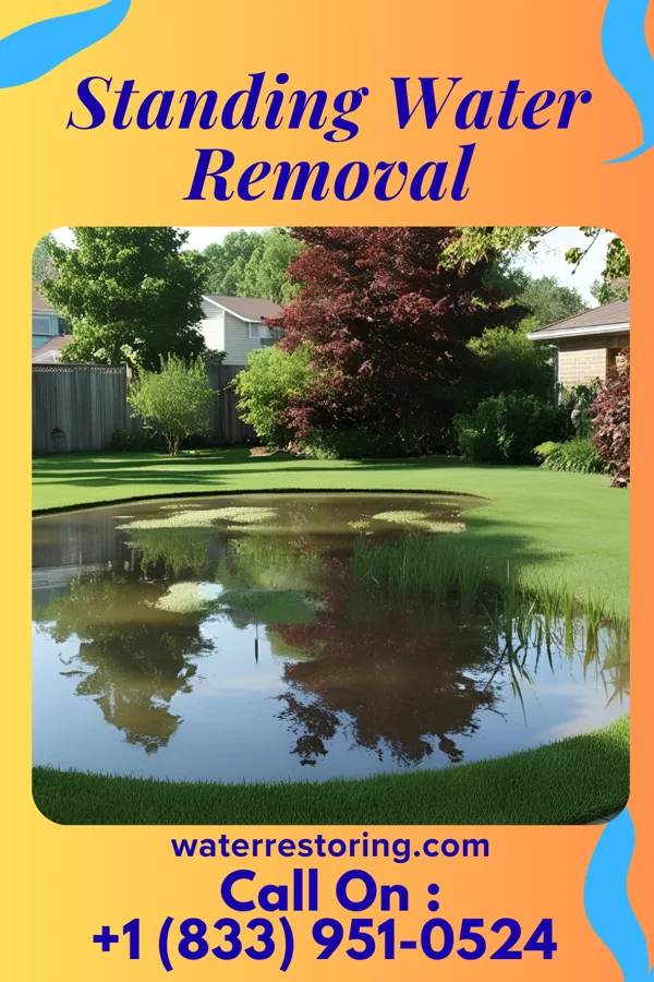 Standing Water Removal in Chisholm, ME